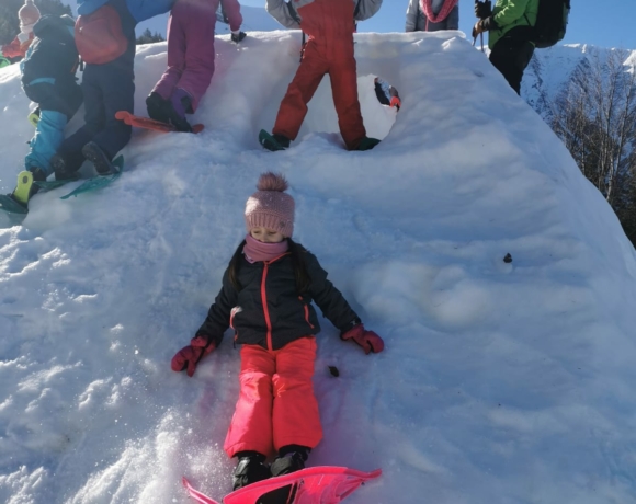 raquette, hiver, montagne, alpes du grand serre, Isère, Le Bien Veillant