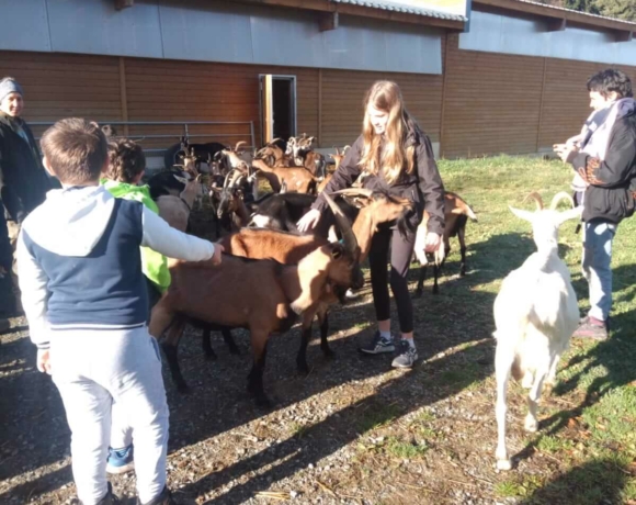 Visite chèvrerie alpes du grand serre, Isère, Le Bien Veillant