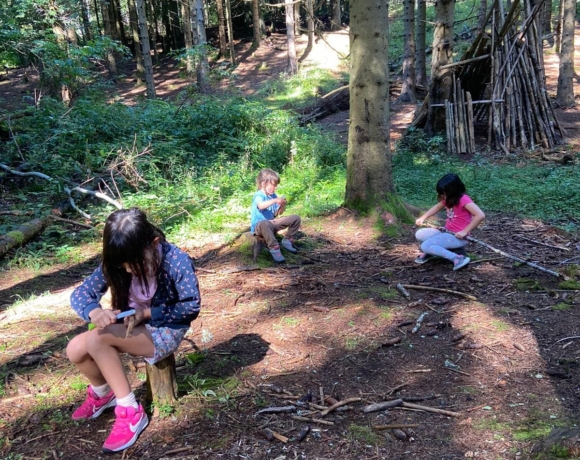 Copains des bois alpes du grand serre, Isère, Le Bien Veillant